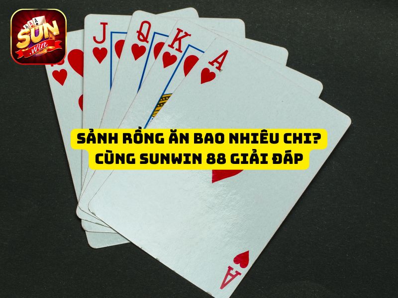 Sảnh rồng ăn bao nhiêu chi? Cùng Sunwin 88 giải đáp